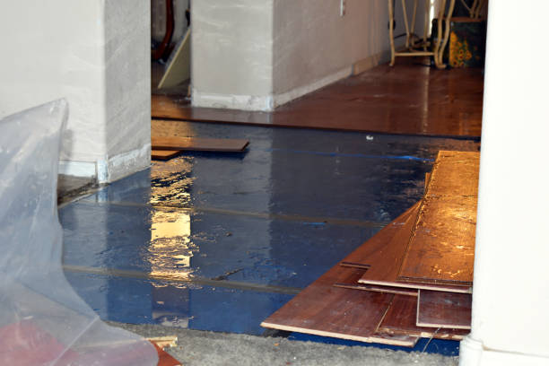 Professional Basement Water Removal technician working in Higgins Lake, MI