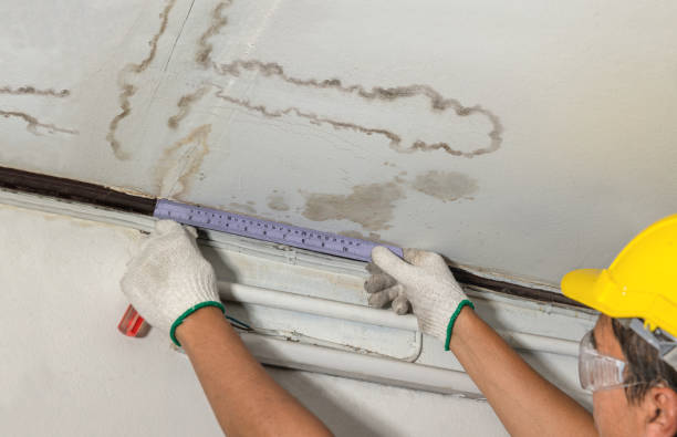 Reliable Basement Water Removal contractor in Higgins Lake, MI by Water Damage Irwin